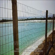 Foto-CAL-EI-173-2011-4.jpg